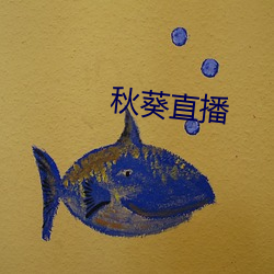 秋葵直播