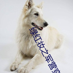 綠紅妝之軍營穿越
