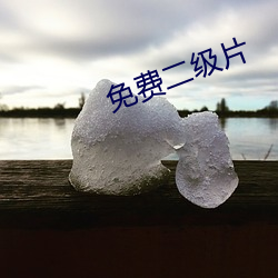 免费(費)二级片