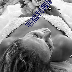 宅福利轰趴猫