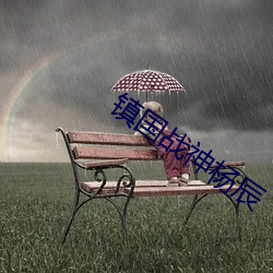镇国战神杨辰 （自制