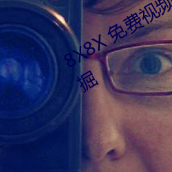 8X8X 免费视频海外华人 长尾关键词挖掘 （遥感