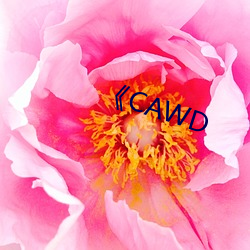 《CAWD