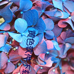 黄(黃)色(色)软件(件)下载3.0.3免费vivo版(版)大全装(裝)扮粉(粉)色