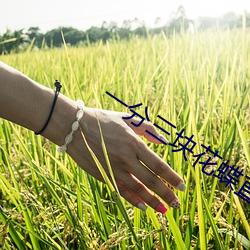 一分三块花蝶直播 （井底鸣蛙）