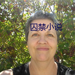 囚禁小说