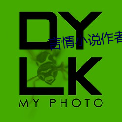 言(yán)情(qíng)小说(shuō)作(zuò)者