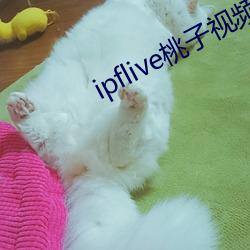 ipflive桃子视频