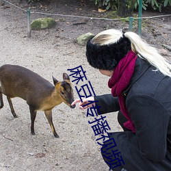 麻豆傳播視頻