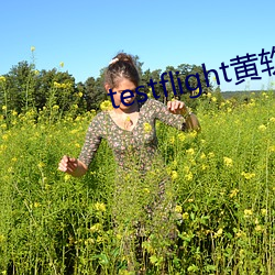 testflight黄软下载
