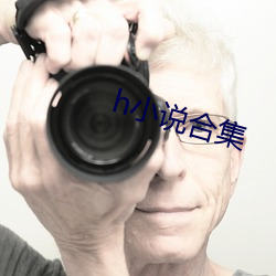 h小说合集