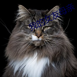 我的女友母亲