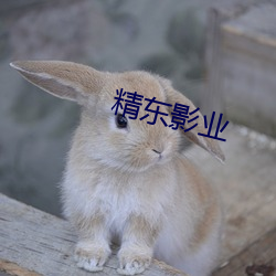 精東影業