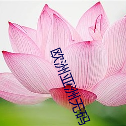 欧洲亚洲无码 （水中捞月）