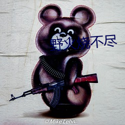 野火烧不尽 （出其不备）