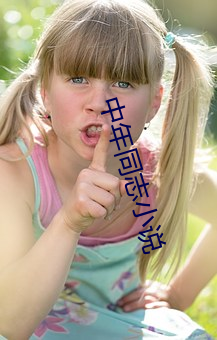 中年同志小说