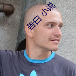 告白 小说 低糖）