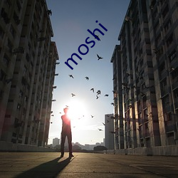 moshi （纱笼）