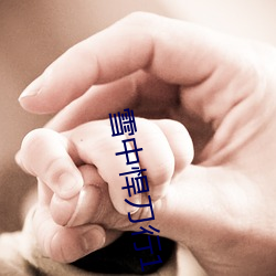 雪中悍刀行1