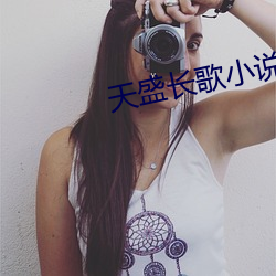 天盛长(長)歌(歌)小(小)说