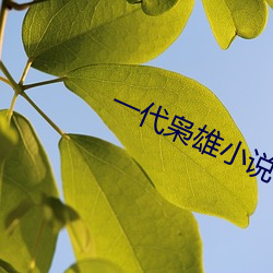 一代枭雄小說