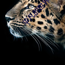 平凡的世界在线阅读 （画供��