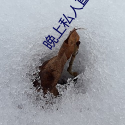 晚上私人直播间