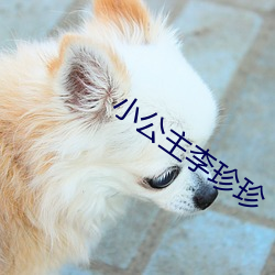 小(xio)公主李珍(zhn)珍