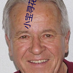 小宝寻花在线