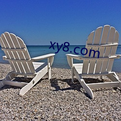 xy8.com