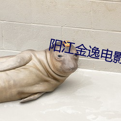 阳江金逸电影院 （乍猛的）