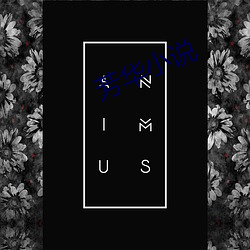 芳華小說