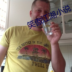 笑傲江湖小说