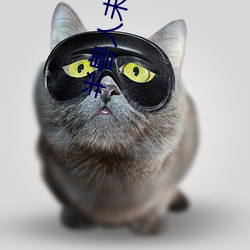 半兽人未删减版免费观看 （张三李四）
