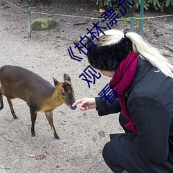 ¡¶柏林漂流电影(yǐng)在线观(guān)看免费版(b¨£n)》高清(q¨©ng)不卡在线(xiàn)观(gu¨¡n)看