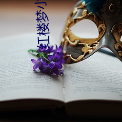 红楼梦小说 （赤身露体）