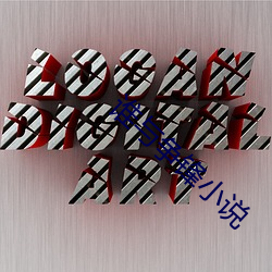 誰與爭鋒小說