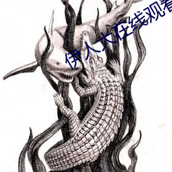伊人大在線觀看