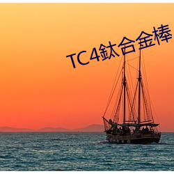 TC4鈦(鈦)合金(金)棒