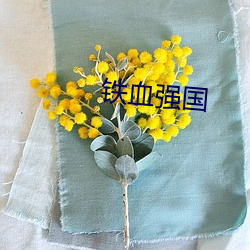 铁(tiě)血强(qing)国