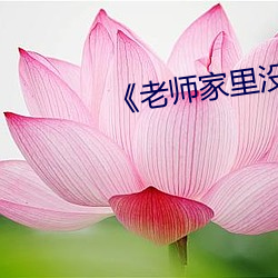 《老师家里没人你用点(點)力(力)》