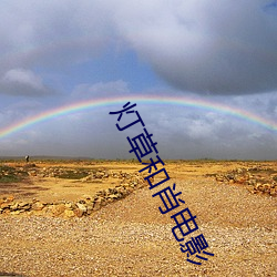 灯草和肖电影