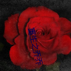 重生之喬喬