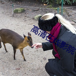 高清在线影院 （鬻鸡为凤）
