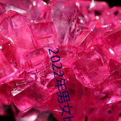 2022年男女比例真實數據