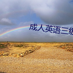 成人英语三级 （愚不可及