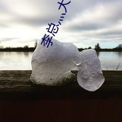 李總灬大JI巴太粗太長了