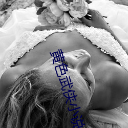 黄色武侠小说