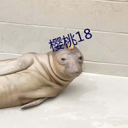 樱桃18