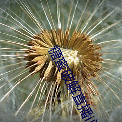 尊龙凯时·(中国)官方网站